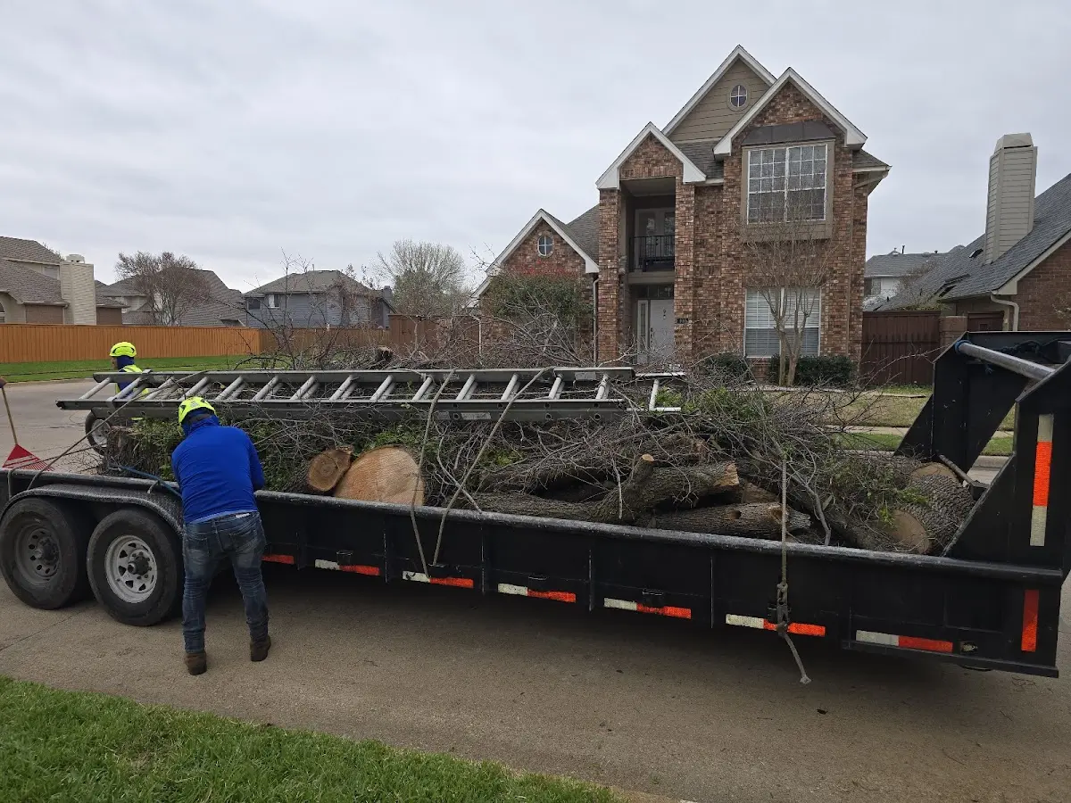 Expert Tree Fertilization with proper safety equipment in Coahoma